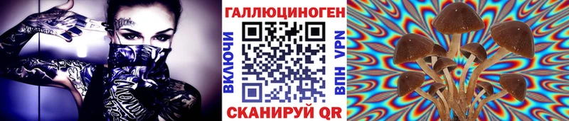 Галлюциногенные грибы мицелий  закладки  Петров Вал 
